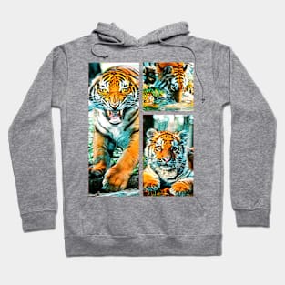 3 Tigers Hoodie